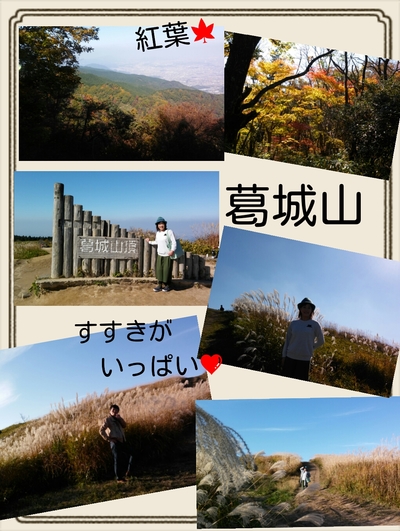 img_20161114-162048.jpg