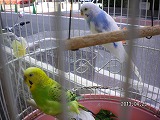 img_20130425-174717.jpg