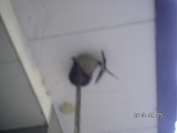 img_20130425-174746.jpg