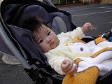 img_20130425-190812.jpg