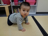 img_20130426-170454.jpg