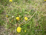 img_20130426-193124.jpg