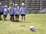img_20130426-193236.jpg