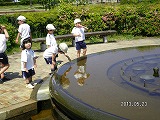 img_20130523-155816.jpg