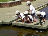 img_20130523-155827.jpg