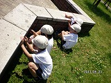 img_20130523-155844.jpg