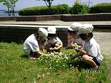 img_20130523-155857.jpg