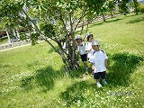 img_20130523-155929.jpg