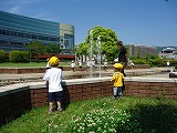 img_20130523-164102.jpg