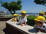img_20130523-164207.jpg