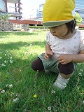 img_20130523-164249.jpg