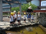 img_20130523-164344.jpg