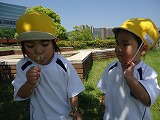 img_20130523-164404.jpg