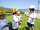 img_20130523-164414.jpg