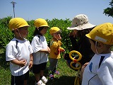 img_20130523-164532.jpg