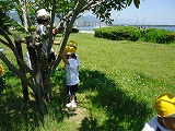 img_20130523-164543.jpg