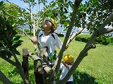 img_20130523-164555.jpg