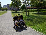 img_20130523-165121.jpg