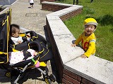 img_20130523-165132.jpg