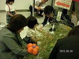 img_20130530-172852.jpg