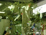 img_20130530-172914.jpg