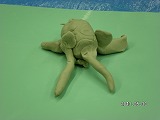 img_20130530-173416.jpg