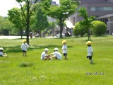 img_20130531-184317.jpg