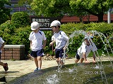 img_20130531-184333.jpg