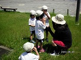 img_20130531-184355.jpg