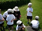 img_20130531-184402.jpg
