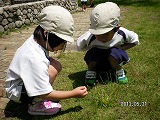img_20130531-184414.jpg