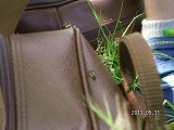 img_20130531-184628.jpg
