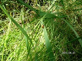 img_20130531-184637.jpg