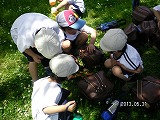 img_20130531-184647.jpg