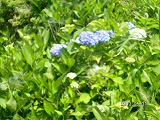 img_20130531-184656.jpg