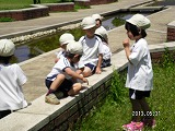 img_20130531-184742.jpg