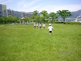img_20130531-184859.jpg