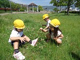 img_20130531-185433.jpg
