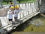 img_20130531-185504.jpg