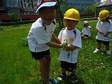 img_20130531-185931.jpg