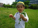 img_20130531-185948.jpg