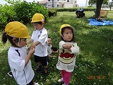 img_20130531-192510.jpg