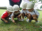 img_20130625-155438.jpg