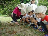 img_20130625-155507.jpg