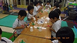 img_20130625-162846.jpg
