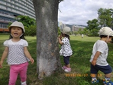 img_20130627-155402.jpg