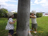 img_20130627-155417.jpg