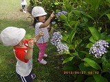 img_20130627-155443.jpg