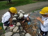 img_20130628-155249.jpg