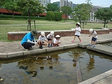 img_20130628-155341.jpg